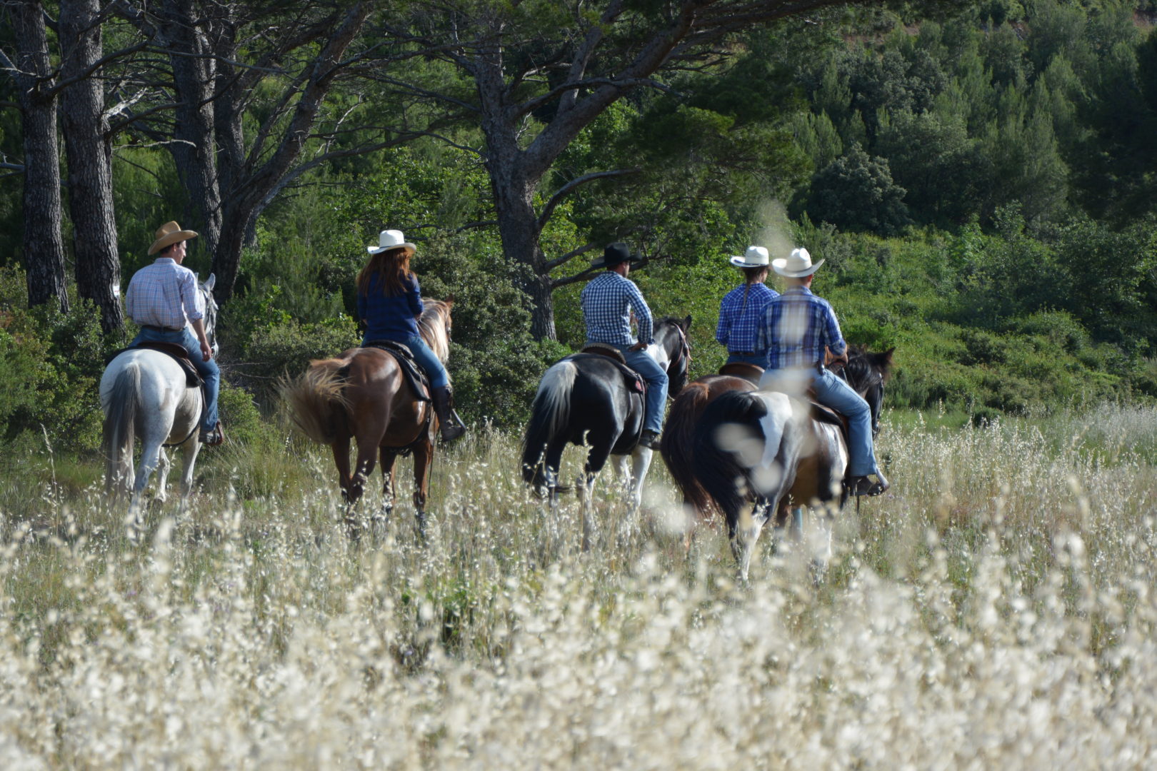 En selle ! Balades à cheval au Texas