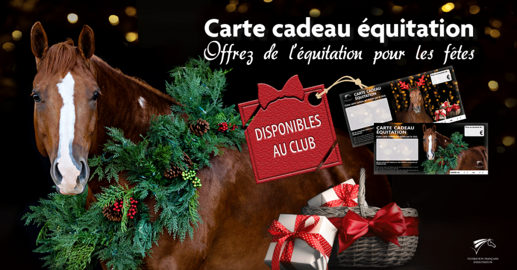 Offrez de l'équitation à Noël ! LE PETIT ROMAN